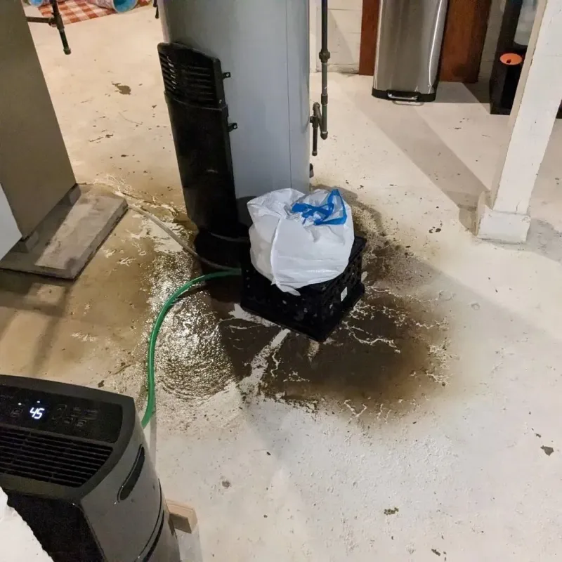 Sewage Backup Cleanup Service in Alamo, TN